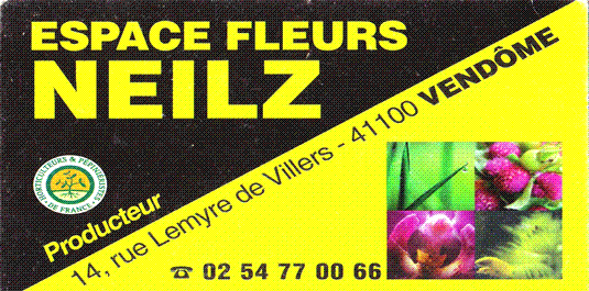 ESPACE FLEURS - NEILZ