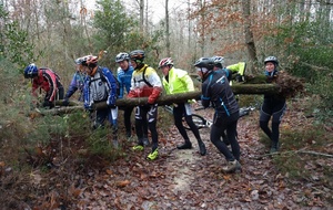 VTT