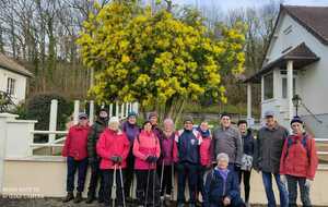 Marche du 28-02-2024