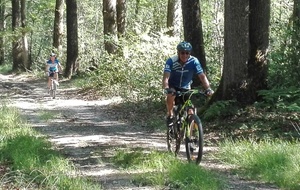 594d1c80deb25_IMG20170618102220.jpg