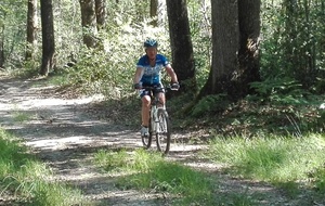 594d1ca8717c4_IMG20170618102225.jpg