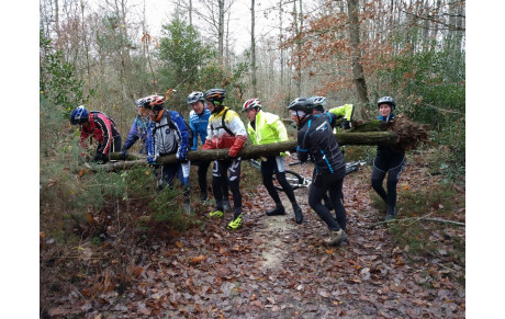 VTT